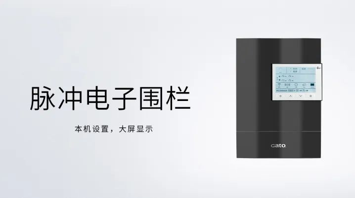 新的一年，廣拓的信心(圖9)