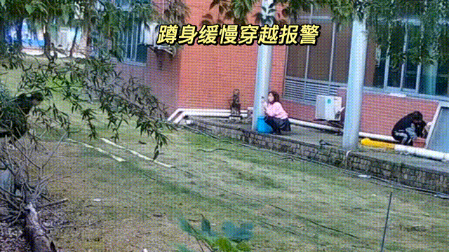 用數(shù)據(jù)說話，風(fēng)雨小動(dòng)物不誤報(bào)！(圖9)