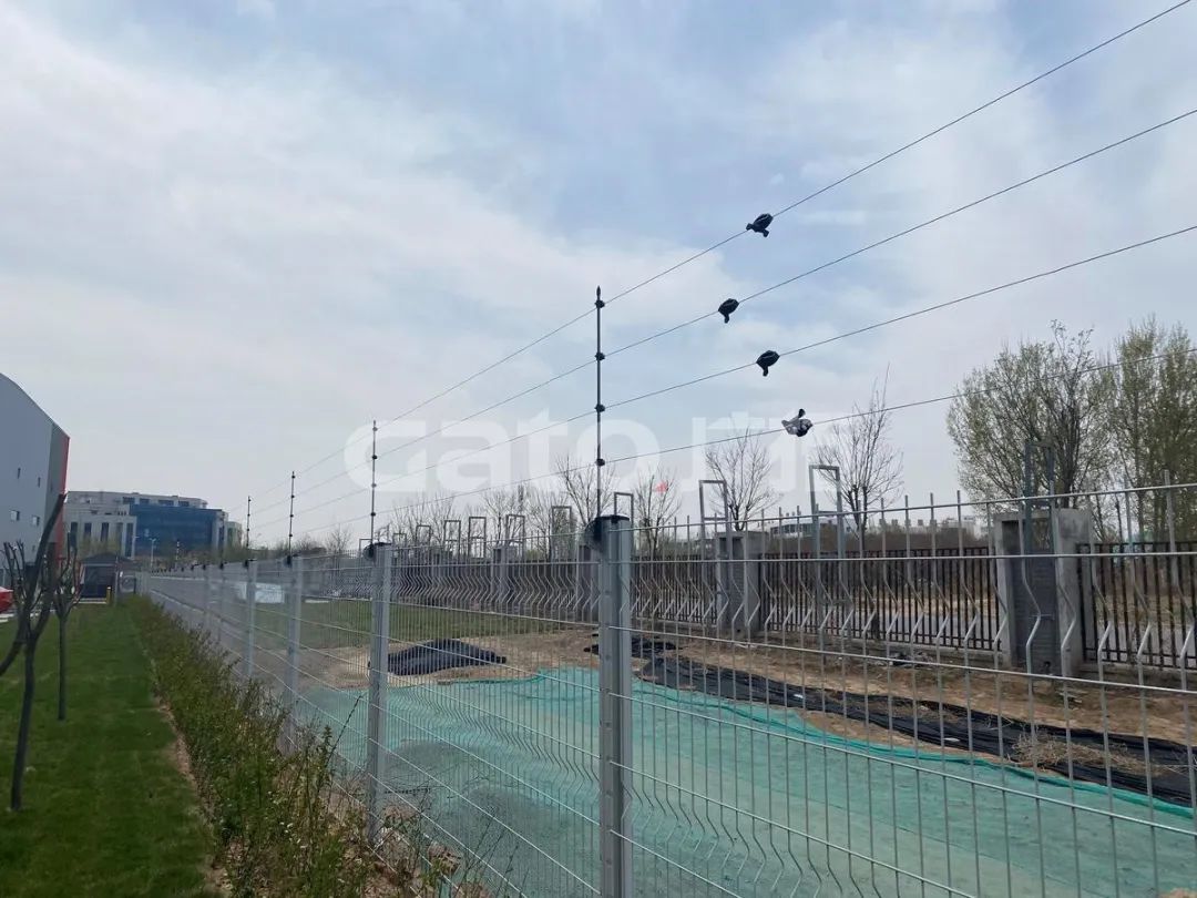 為什么廊坊這個工廠的周界用了兩種安裝方式？(圖4)