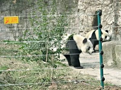 五一出游高峰不必慌，疫情防控神器來幫忙！(圖13)